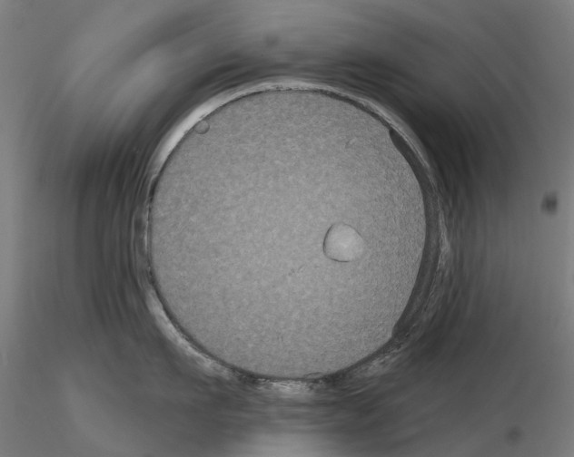 X0000114720911200912021151