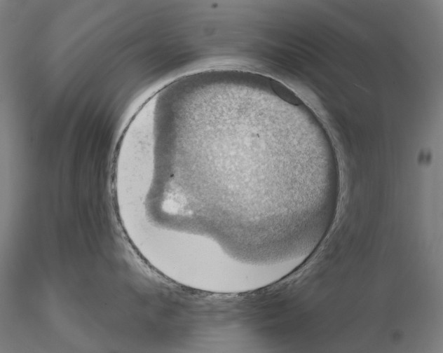 X0000114720912200912021151