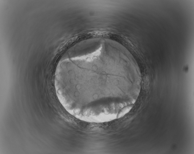 X0000114720913200912021151