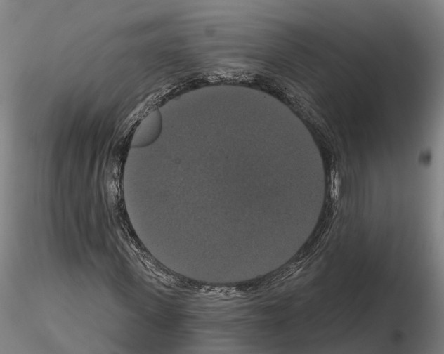 X0000114720915200912021151