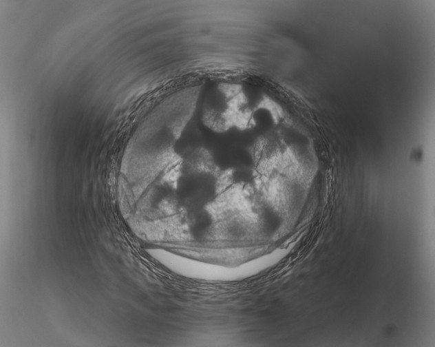 X0000114720917200912021151