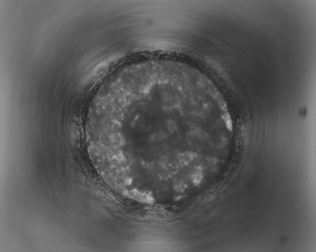 X0000114720918200912021151