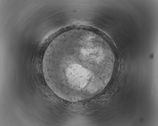 X0000114720919200912021151