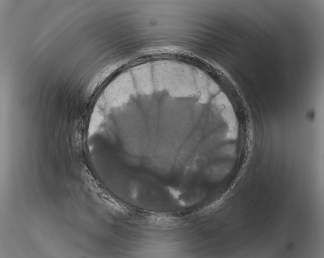 X0000114720921200912021151