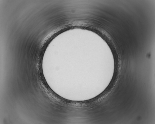 X0000114720922200912021151