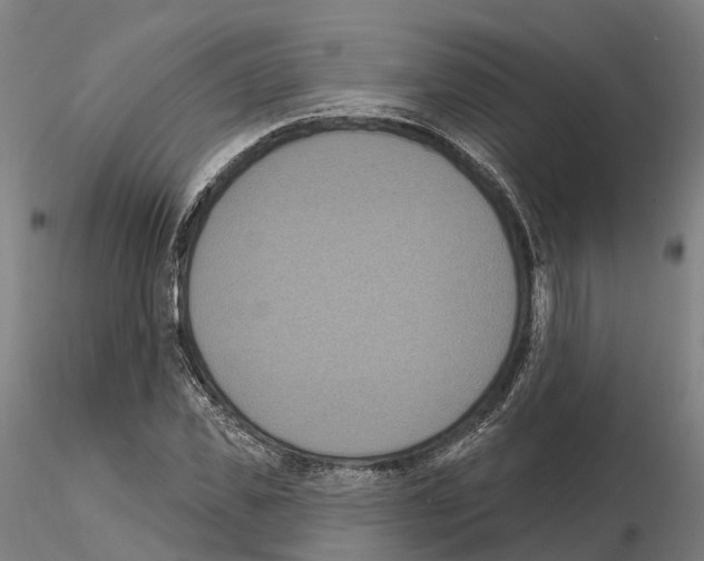 X0000114720925200912021151