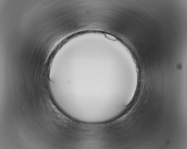 X0000114720926200912021151