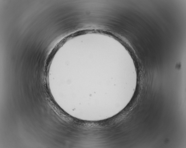 X0000114720927200912021151