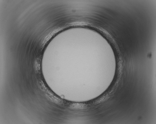 X0000114720929200912021151