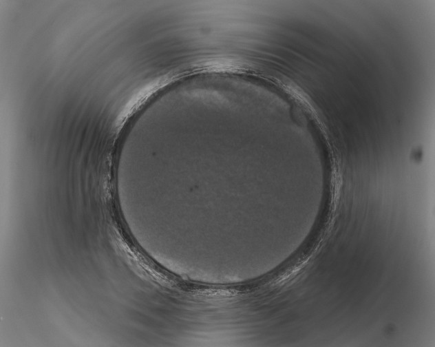 X0000114720930200912021151