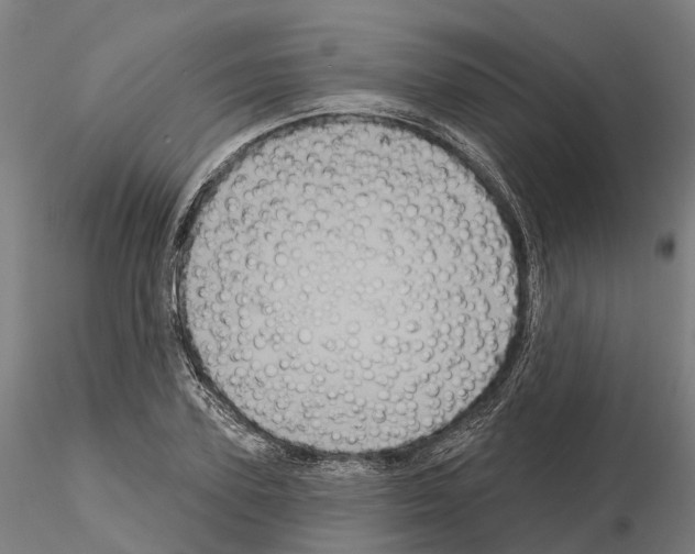 X0000114720931200912021151