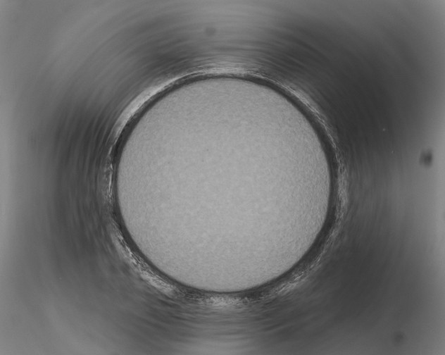 X0000114720933200912021151