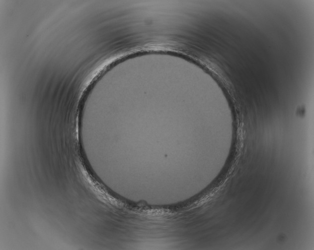 X0000114720934200912021151