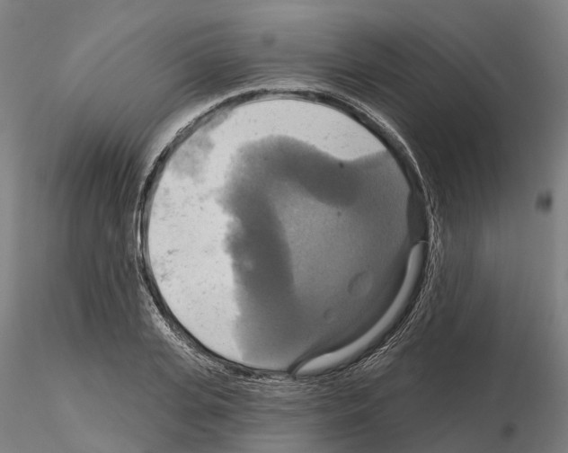 X0000114720935200912021151