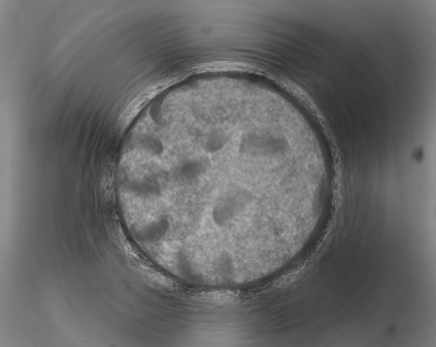 X0000114720937200912021151