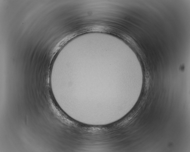 X0000114720938200912021151