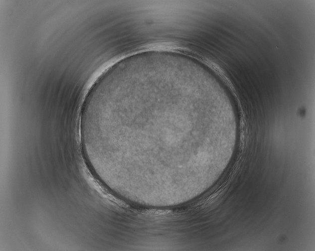 X0000114720939200912021151