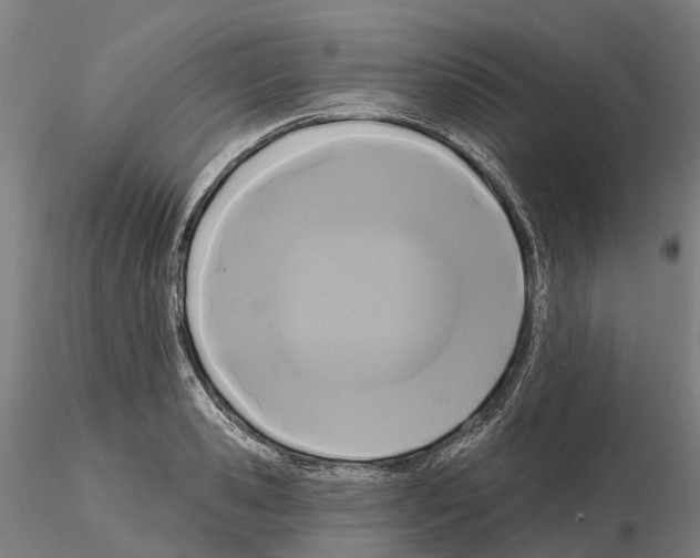 X0000114720941200912021151