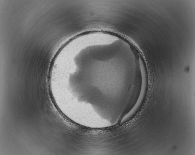 X0000114720943200912021151