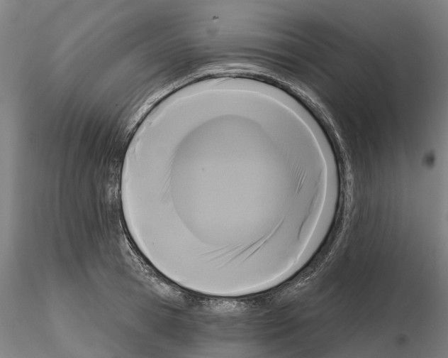 X0000114720945200912021151