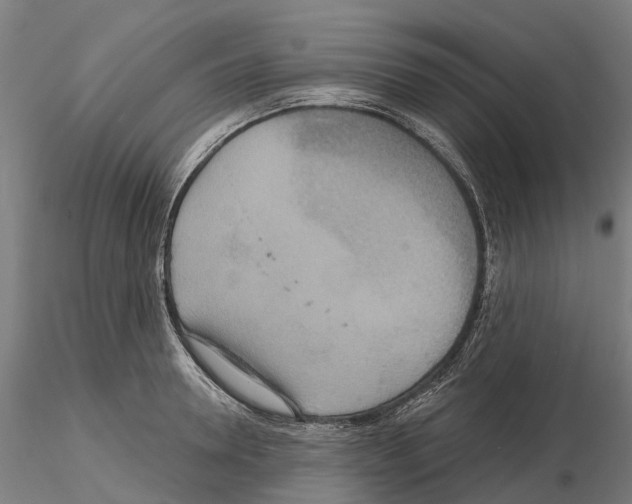 X0000114720946200912021151