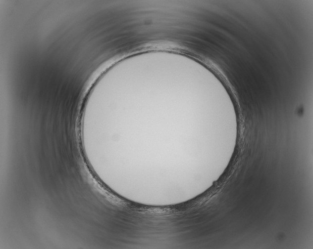 X0000114720947200912021151