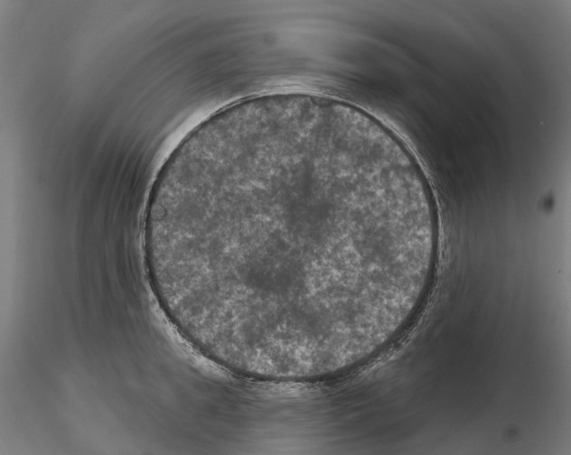 X0000114720949200912021151