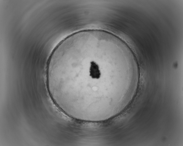 X0000114720950200912021151