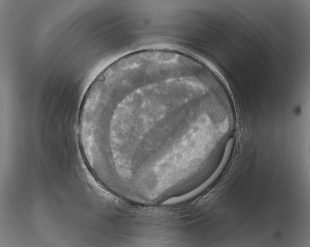 X0000114720951200912021151