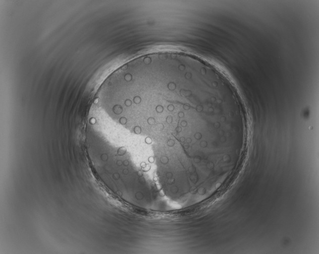 X0000114720953200912021151