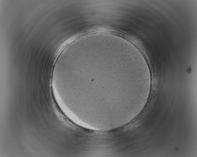 X0000114720954200912021151