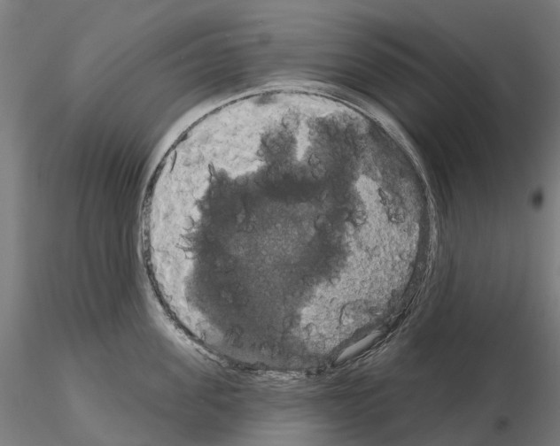 X0000114720955200912021151