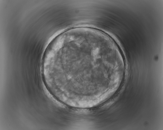 X0000114720957200912021151