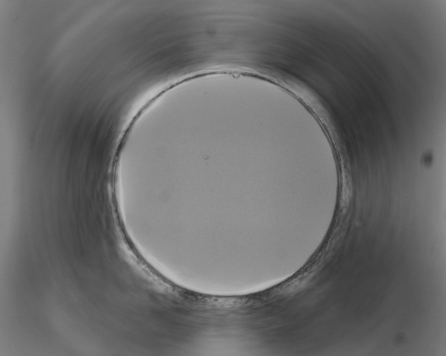 X0000114720958200912021151