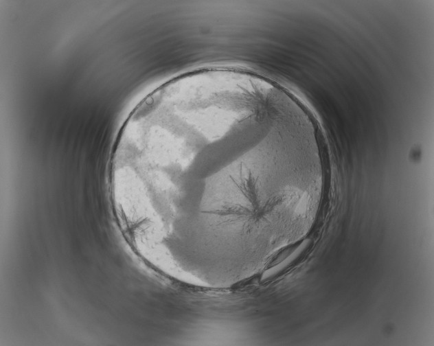 X0000114720959200912021151