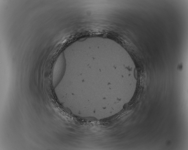 X0000114720961200912021151