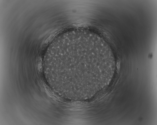 X0000114720963200912021151