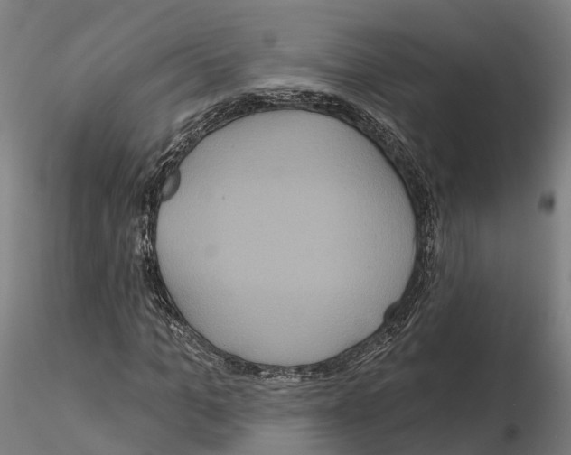 X0000114720965200912021151