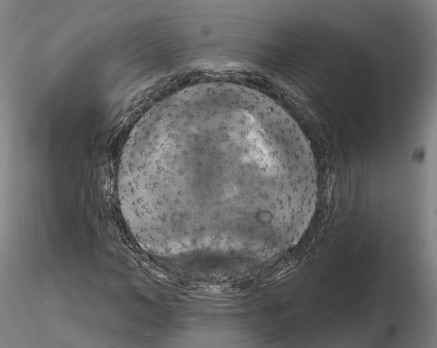 X0000114720966200912021151