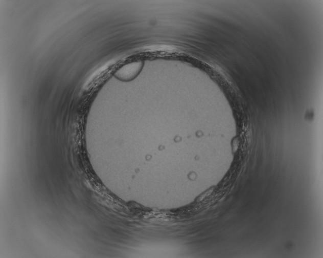 X0000114720967200912021151