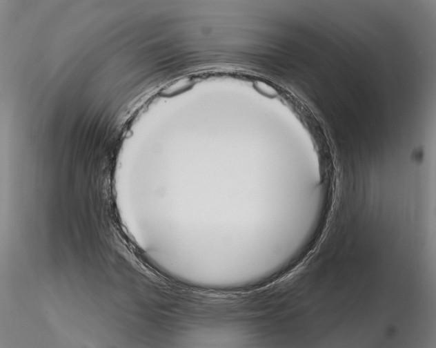 X0000114720969200912021150