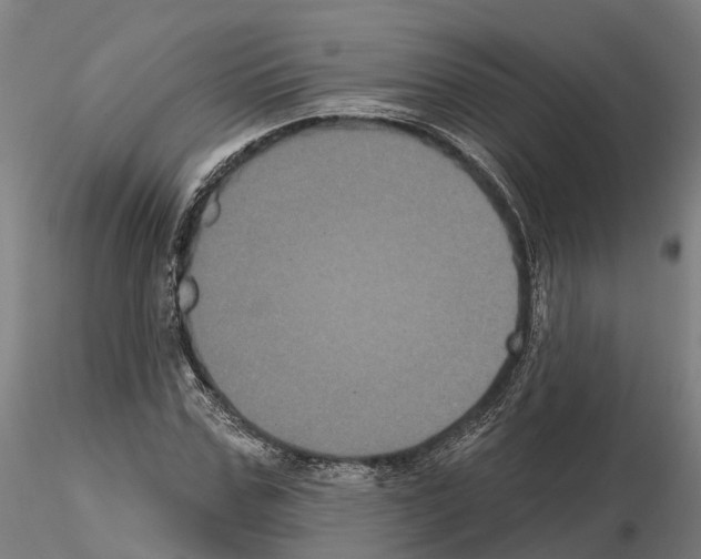 X0000114720971200912021150