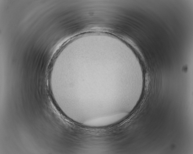 X0000114720972200912021150