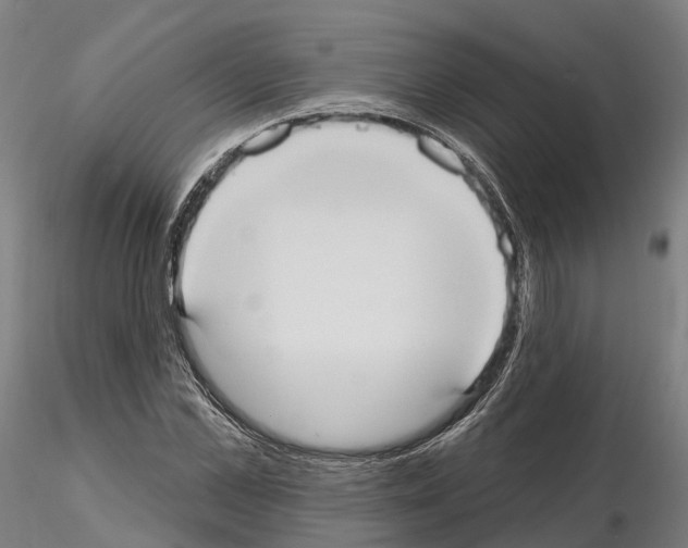 X0000114720973200912021150