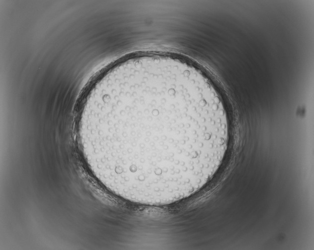 X0000114720974200912021150