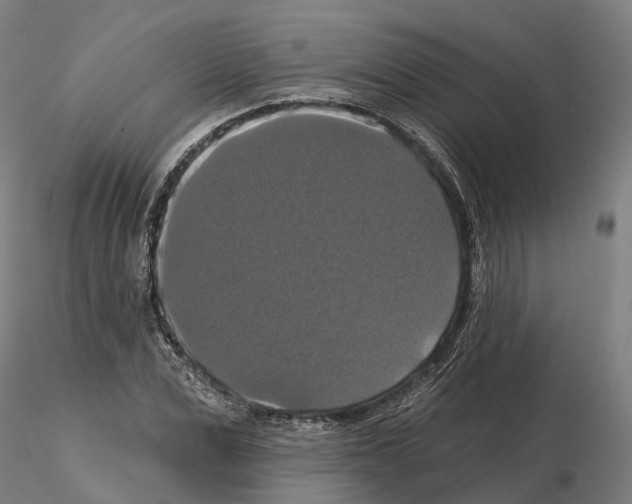 X0000114720975200912021150