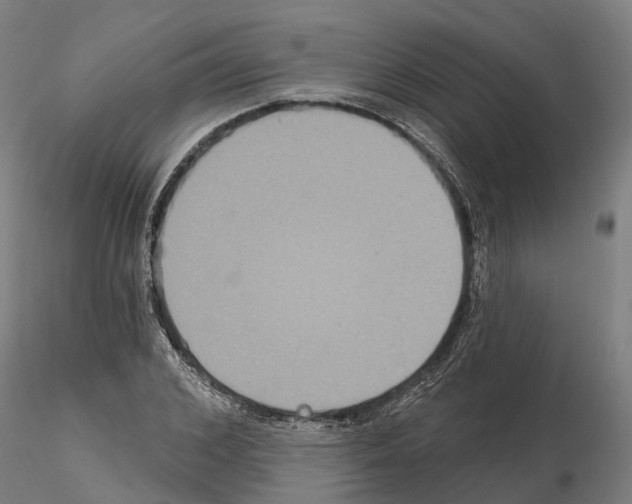 X0000114720976200912021150