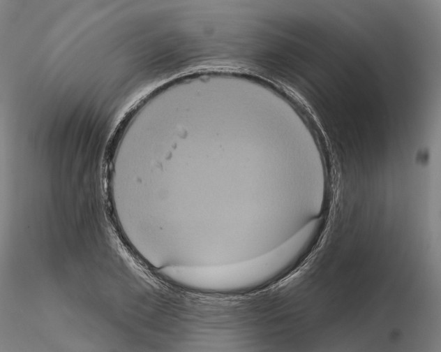 X0000114720981200912021150