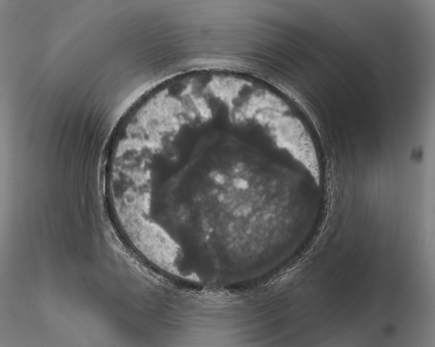 X0000114720983200912021150