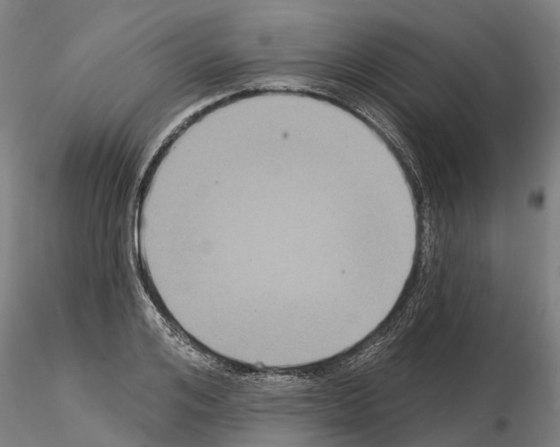 X0000114720984200912021150